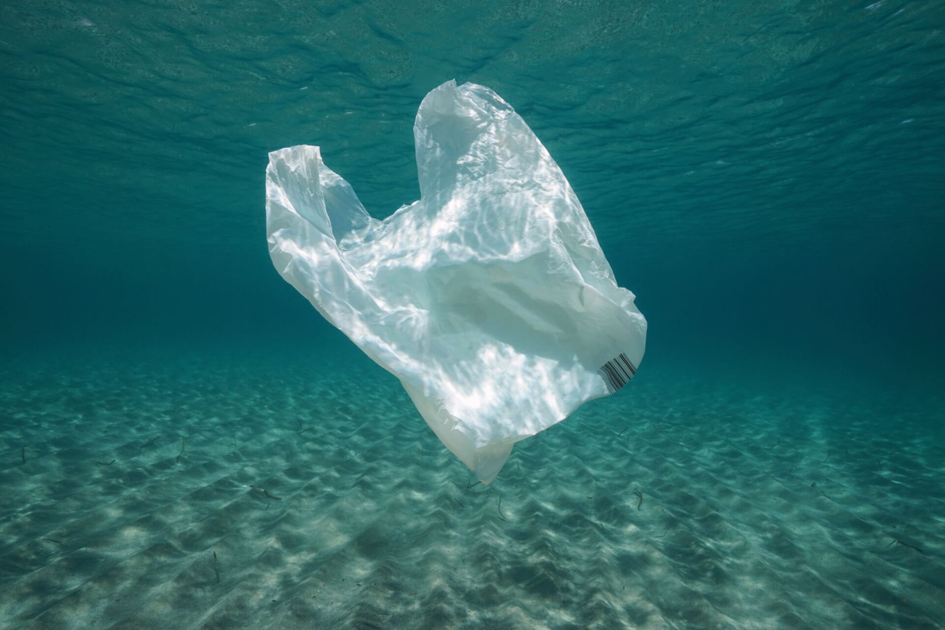 plastic bag decomposition time